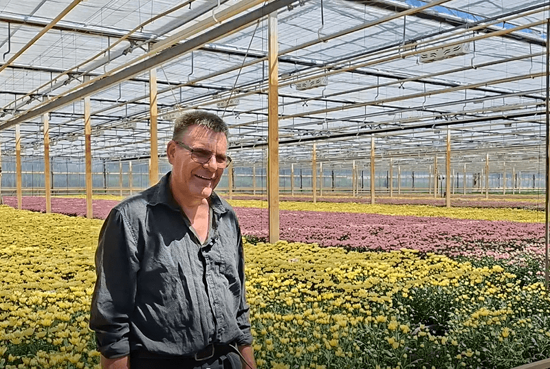 Afbeelding van Peter Ootes - Rubens (Bovebo)